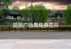 踮脚广场舞格桑花开