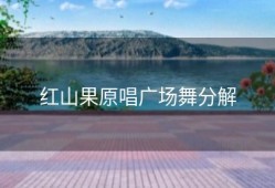 红山果原唱广场舞分解