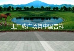 王广成广场舞中国吉祥