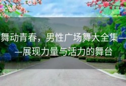 舞动青春，男性广场舞大全集——展现力量与活力的舞台