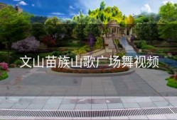 文山苗族山歌广场舞视频
