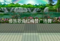 傣族歌曲红梅赞广场舞