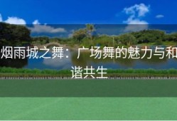 烟雨城之舞：广场舞的魅力与和谐共生