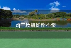dj广场舞你傻不傻