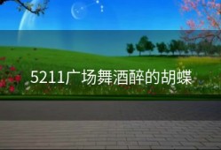 5211广场舞酒醉的胡蝶