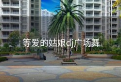 等爱的姑娘dj广场舞