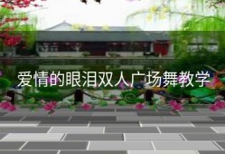 爱情的眼泪双人广场舞教学