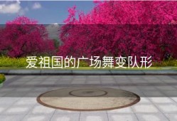 爱祖国的广场舞变队形