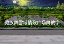 藏族舞雪域情歌广场舞教学