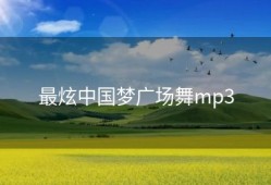 最炫中国梦广场舞mp3