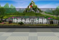 锋哥水兵广场舞猜