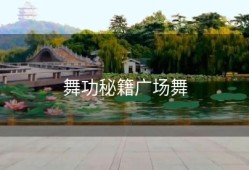 舞功秘籍广场舞