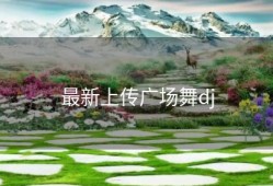 最新上传广场舞dj