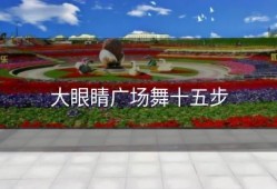 大眼睛广场舞十五步