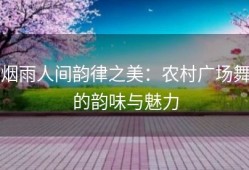 烟雨人间韵律之美：农村广场舞的韵味与魅力