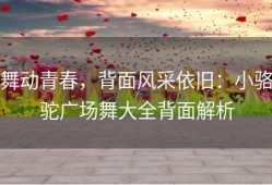 舞动青春，背面风采依旧：小骆驼广场舞大全背面解析
