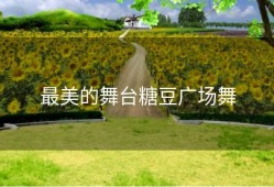 最美的舞台糖豆广场舞