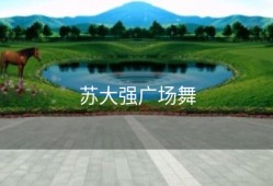 苏大强广场舞