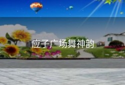应子广场舞神韵