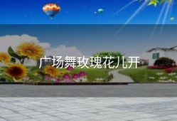 广场舞玫瑰花儿开