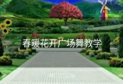 春暖花开广场舞教学