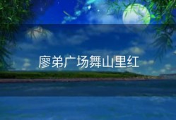 廖弟广场舞山里红