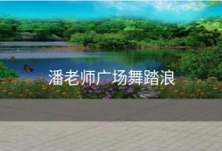 潘老师广场舞踏浪