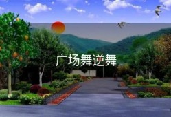 广场舞逆舞