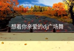 想着你亲爱的dj广场舞