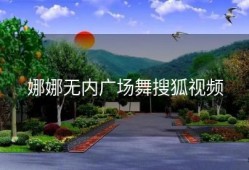 娜娜无内广场舞搜狐视频