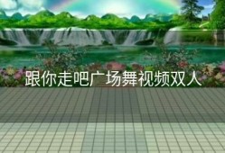 跟你走吧广场舞视频双人