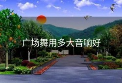 广场舞用多大音响好