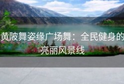 黄陂舞姿缘广场舞：全民健身的亮丽风景线