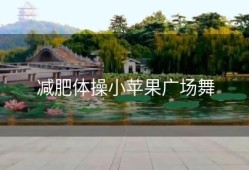 减肥体操小苹果广场舞