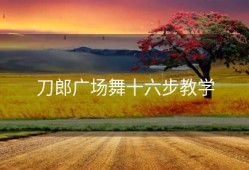 刀郎广场舞十六步教学