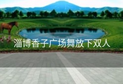 淄博香子广场舞放下双人