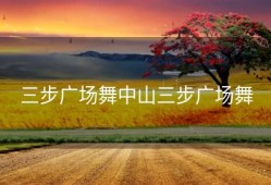 三步广场舞中山三步广场舞