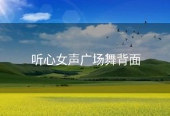 听心女声广场舞背面