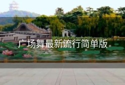 广场舞最新流行简单版