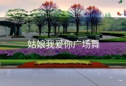 姑娘我爰你广场舞
