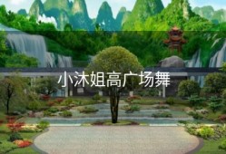 小沐姐高广场舞
