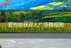 爱的收获双人广场舞视频