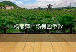 杨丽萍广场舞四季歌