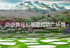 交谊舞我和草原相依广场舞