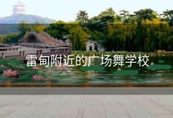 雷甸附近的广场舞学校