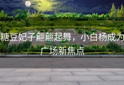 糖豆妃子翩翩起舞，小白杨成为广场新焦点