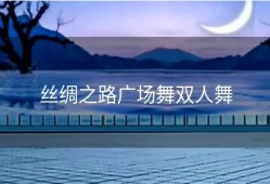 丝绸之路广场舞双人舞