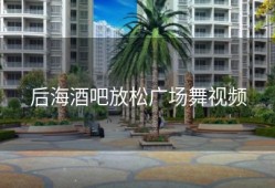 后海酒吧放松广场舞视频