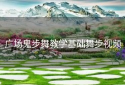 广场鬼步舞教学基础舞步视频