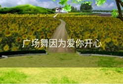 广场舞因为爱你开心